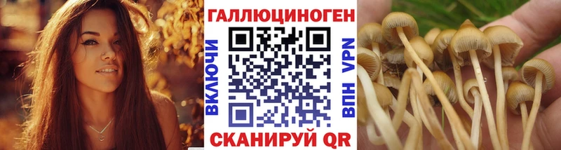 Псилоцибиновые грибы мицелий  Калининск 